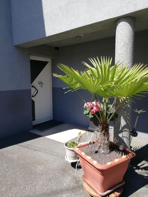 Appartement agréable Haguenau Extérieur photo
